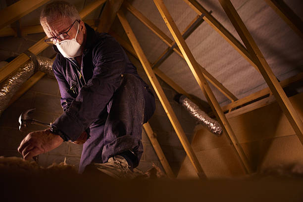 Best Local Insulation Services  in Mcgregor, TX